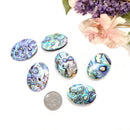 Abalone Shell Cabochon (Emotional Healing)