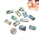 Abalone Shell Cabochon (Emotional Healing)