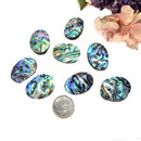 Abalone Shell Cabochon (Emotional Healing)