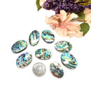 Abalone Shell Cabochon (Emotional Healing)