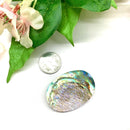 Abalone Shell Cabochon (Emotional Healing)