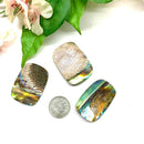 Abalone Shell Cabochon (Emotional Healing)