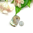 Abalone Shell Cabochon (Emotional Healing)