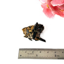 Aegirine Mineral Specimen (Transformation & Protection)
