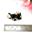 Aegirine Mineral Specimen (Transformation & Protection)