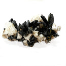 Aegirine Mineral Specimen (Transformation & Protection)