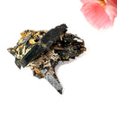 Aegirine Mineral Specimen (Transformation & Protection)
