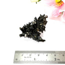 Aegirine Mineral Specimen (Transformation & Protection)