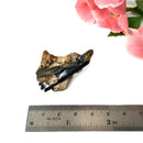 Aegirine Mineral Specimen (Transformation & Protection)