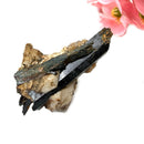 Aegirine Mineral Specimen (Transformation & Protection)