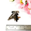 Aegirine Mineral Specimen (Transformation & Protection)