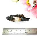 Aegirine Mineral Specimen (Transformation & Protection)