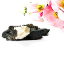 Aegirine Mineral Specimen (Transformation & Protection)