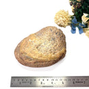 Enhydro Agate & Agate Free Forms (Balance the Yin Yang)