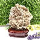 Albite Cluster on Wooden Stand (Memory Enhancement)