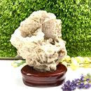 Albite Cluster on Wooden Stand (Memory Enhancement)