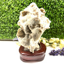 Albite Cluster on Wooden Stand (Memory Enhancement)