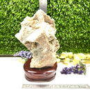 Albite Cluster on Wooden Stand (Memory Enhancement)