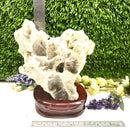 Albite Cluster on Wooden Stand (Memory Enhancement)