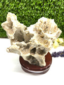 Albite Cluster on Wooden Stand (Memory Enhancement)