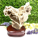 Albite Cluster on Wooden Stand (Memory Enhancement)