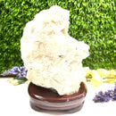 Albite Cluster on Wooden Stand (Memory Enhancement)