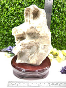 Albite Cluster on Wooden Stand (Memory Enhancement)