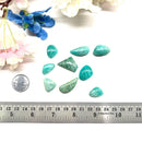 Amazonite Cabochon