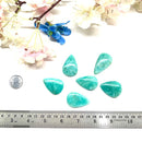 Amazonite Cabochon