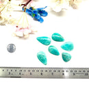 Amazonite Cabochon
