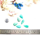 Amazonite Cabochon