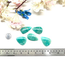 Amazonite Cabochon