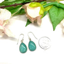 Amazonite Earrings in Silver