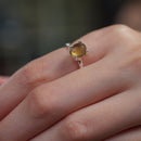 Amber Adjustable Rings in Silver
