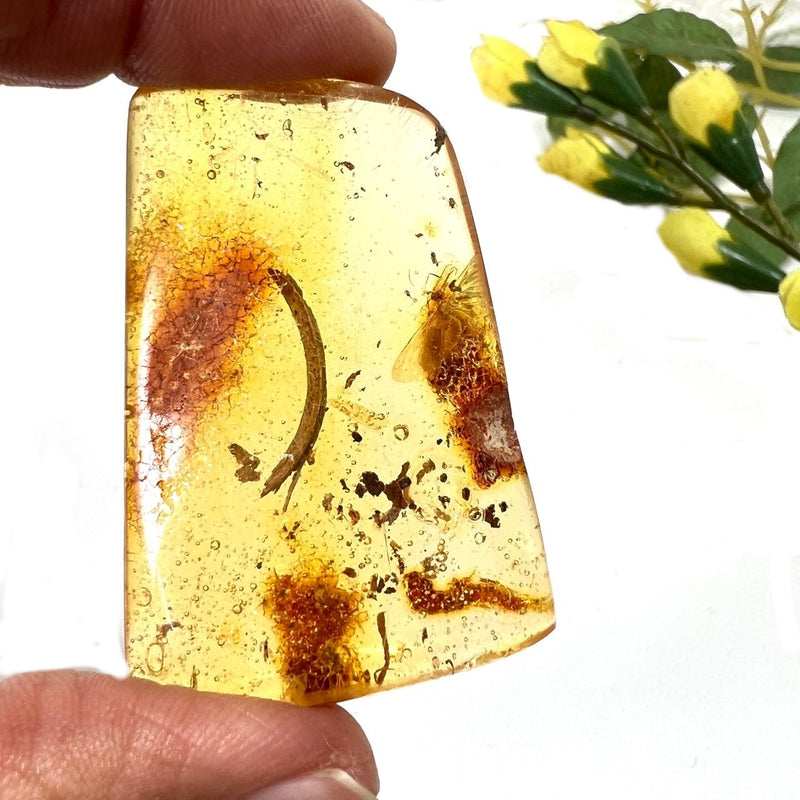 Natural Amber with Insect Inclusions (protection from external forces)