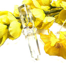 Amber Adjustable Rings in Silver