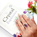 Amethyst Adjustable Ring in Silver