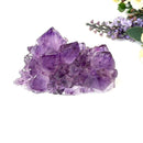 Natural Amethyst Clusters in AAA Quality (Option Wise)