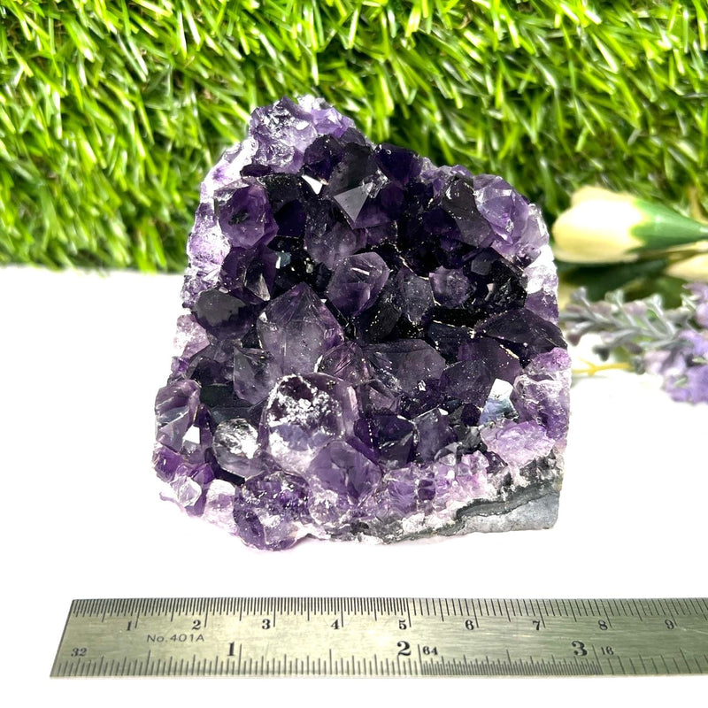 Standing Amethyst Clusters from Uruguay AAA Extra (Very dark Purple)