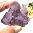 Amethyst Flower Shaped Cluster (Intuition and Meditation)