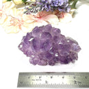 Amethyst Flower Shaped Cluster (Intuition and Meditation)