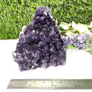 Standing Amethyst Clusters from Uruguay AAA Extra (Very dark Purple)