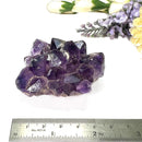 Amethyst Flower Shaped Cluster (Intuition and Meditation)