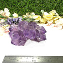 Amethyst Flower Shaped Cluster (Intuition and Meditation)