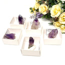 Brandberg Amethyst Cluster & Points (High Vibration Healers)