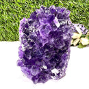 Standing Amethyst Clusters from Brazil AAA Quality (High Vibrations)