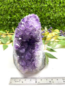 Standing Amethyst Clusters from Brazil AAA Quality (High Vibrations)