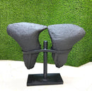 Amethyst Butterfly Geodes from Brazil AAA Quality