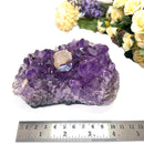Amethyst Clusters with Calcite Flowers / Points (Remove negative energy)