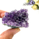 Amethyst Cluster AAA Extra Quality (Intuition and Spiritual Evolution)